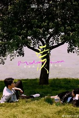 他们的奇妙时光封面图