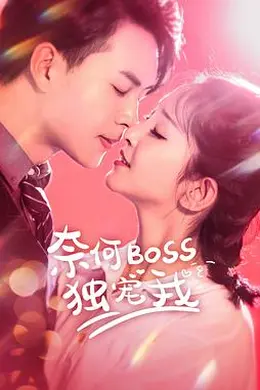 奈何Boss独宠我封面图