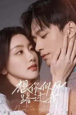 想你似风路过我海报图片