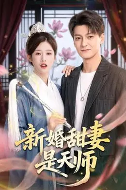 新婚甜妻是天师海报图片