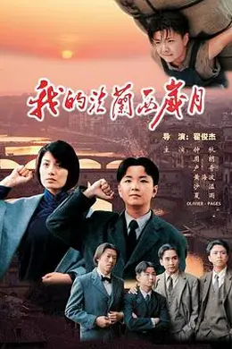 我的法兰西岁月封面图