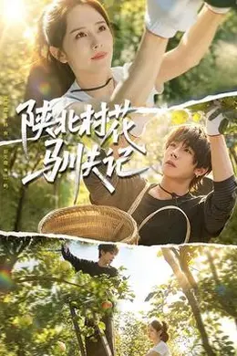 陕北村花驯夫记封面图