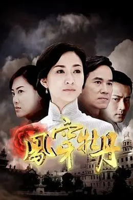 凤穿牡丹封面图