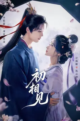 初相见海报图片