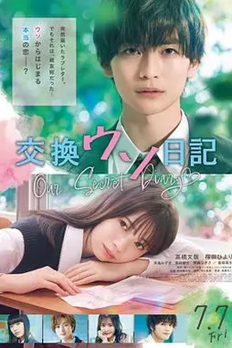 交换谎言日记海报图片