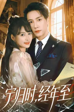 宁归时，经年至封面图