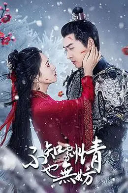 不知剧情也无妨封面图