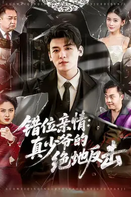 错位亲情：真少爷的绝地反击海报图片