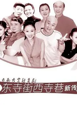 东寺街西寺巷新传封面图