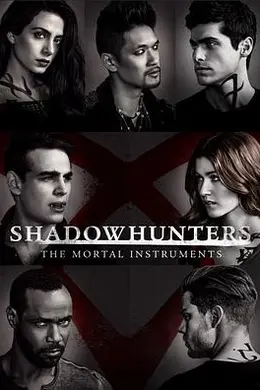 暗影猎人第二季封面图