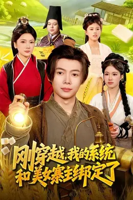 刚穿越，我的系统和美女寨主绑定了海报图片