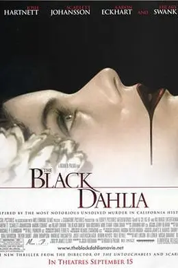 黑色大丽花封面图