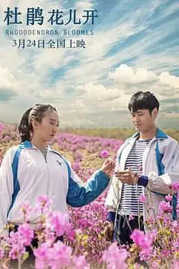 杜鹃花儿开封面图