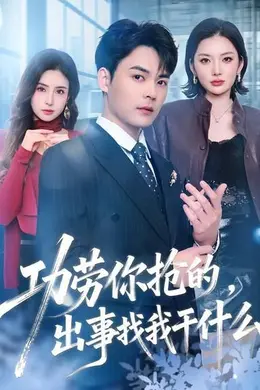 功劳你抢的，出事找我干什么封面图