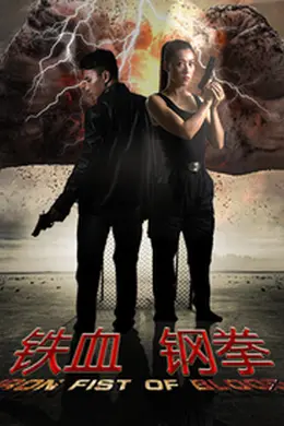 铁血刚拳封面图
