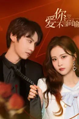 爱你不言而喻封面图