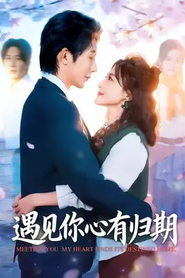 遇见你心有归期海报图片