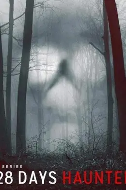 闹鬼实境28天海报图片