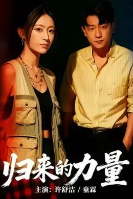 归来的力量海报图片