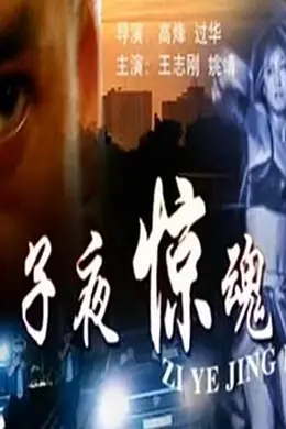 子夜惊魂封面图