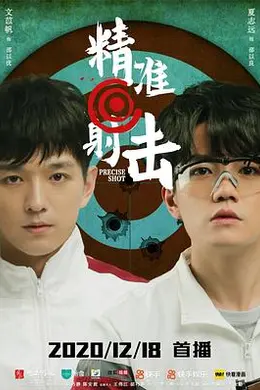 精准射击封面图