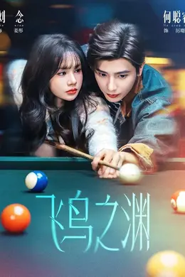 飞鸟之渊封面图