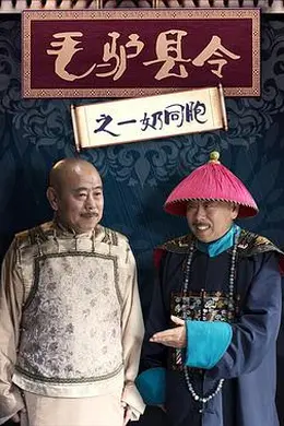 毛驴县令之一奶同胞封面图