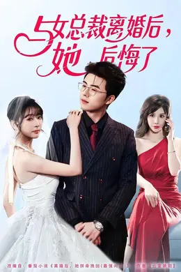 与女总裁离婚后，她后悔了海报图片