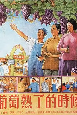葡萄熟了的时候封面图