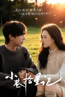 小巷拾星记封面图