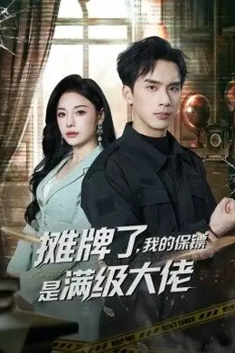 摊牌了，我的保镖是满级大佬海报图片