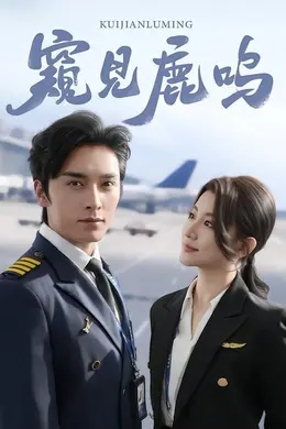 窥见鹿鸣封面图