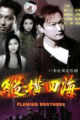 纵横四海粤语封面图