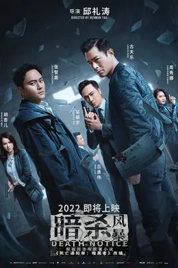 暗杀风暴粤语封面图