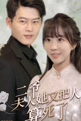 二爷，夫人她又把人算死了海报图片