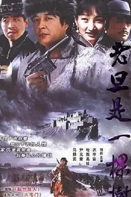 老旦是一棵树封面图