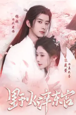 野火淬东宫海报图片