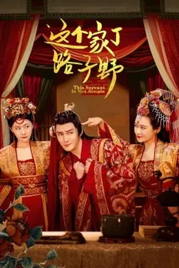 这个家丁路子野封面图