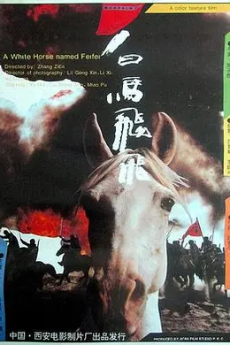 白马飞飞封面图
