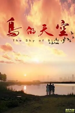 鸟的天空封面图