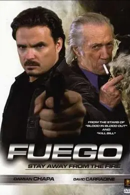 浴火重生封面图