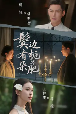 鬓边有朵栀子肥封面图