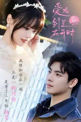 爱在剑兰花开时封面图