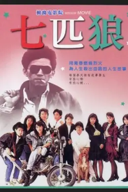 七匹狼封面图