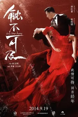 触不可及 2014封面图