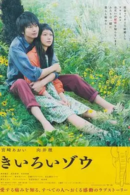 黄色大象封面图