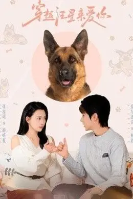 穿越汪星来爱你海报图片