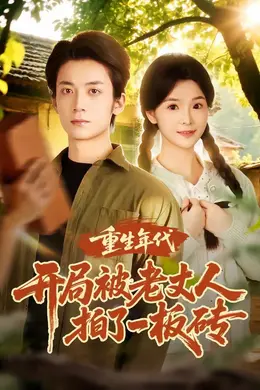 重生年代开局被老丈人拍了一板砖封面图