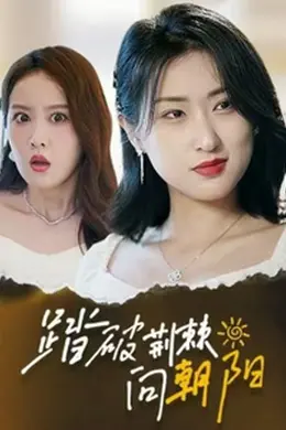 踏破荆棘向朝阳海报图片