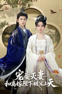 宠妾灭妻，和离嫁陛下被宠上天海报图片